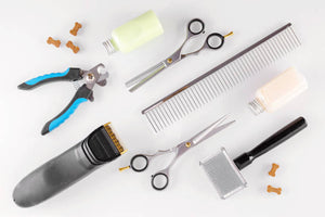 Pet Care Accessories
