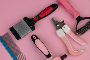 Pet Grooming